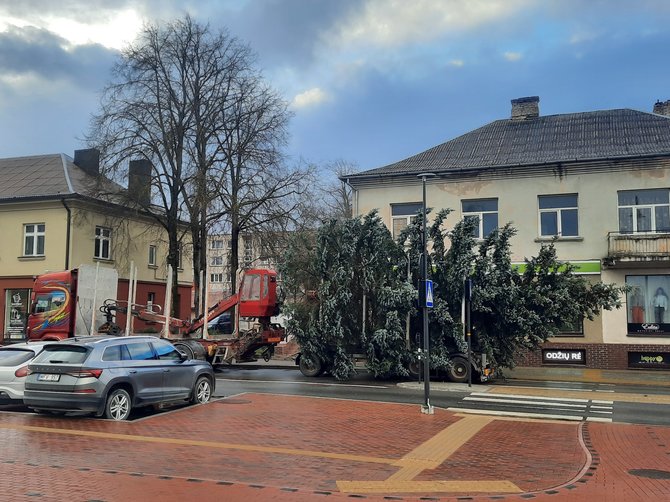 Kretingos raj. savivaldybės nuotr./Kretingos Kalėdų eglė pradėjo kelionę