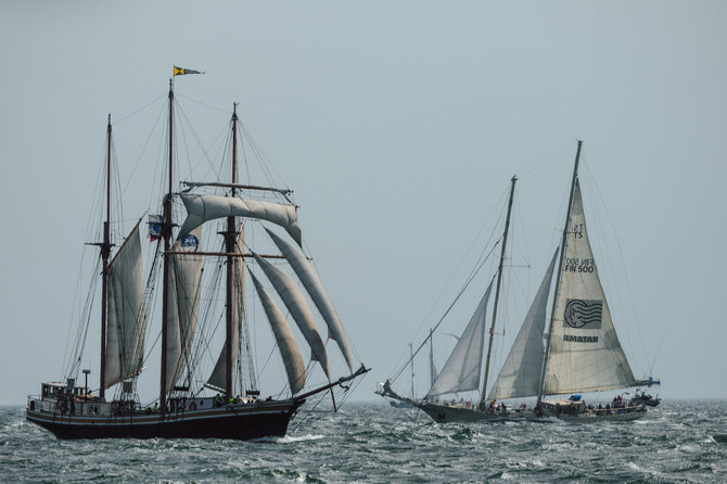 Domo Rimeikos nuotr./„The Tall Ships Races“ regata