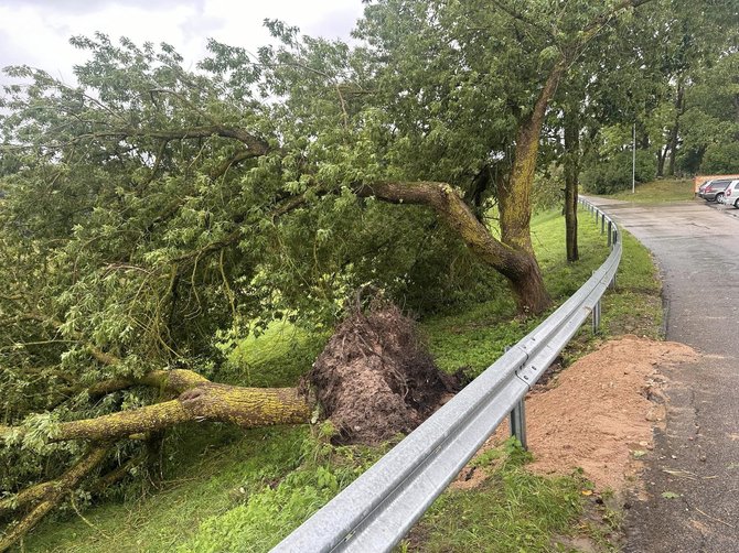 Akmenės raj. sav. nuotr./Liūčių ir vėjo padariniai Akmenės rajone