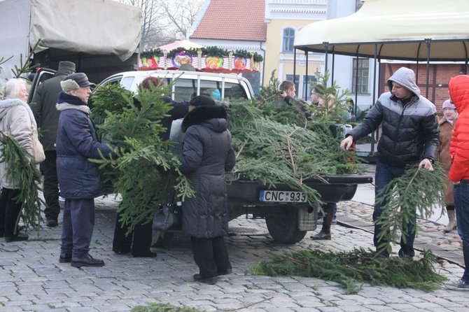 Aurelijos Kripaitės/15min.lt nuotr./Klaipėdiečiams išdalinta apie tūkstantis eglės ir pušies šakų.