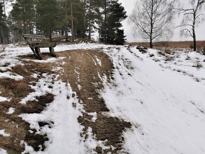 KNNP nuotr./Kuršių nerijos nacionaliniame parke važinėti keturračiais draudžiama.