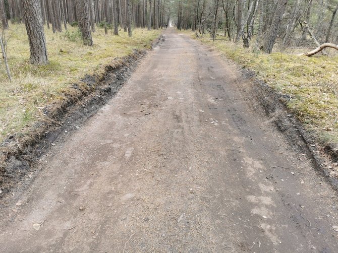 KNNP nuotr./Regis, niekuo neišskirtinis miško takas, tačiau jis driekiasi draustinyje, o paklote tapo senas nuimtas asfaltas.