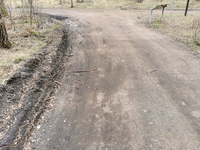 KNNP nuotr./Regis, niekuo neišskirtinis miško takas, tačiau jis driekiasi draustinyje, o paklote tapo senas nuimtas asfaltas.