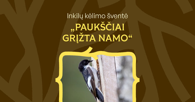 Vilniaus saviv.nuotr./Vilniuje, Balsio ežero paplūdimyje, vyks inkilų kėlimo šventė „Paukščiai grįžta namo“.