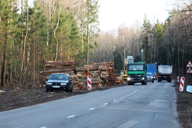 J. Andriejauskaitės / 15min nuotr./Girulių kelio rekonstrukcija