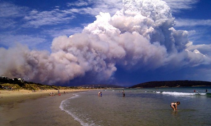 Scanpix nuotr./Tasmanijos salą vyraujant didžiulei kaitrai niokoja krūmynų gaisrai