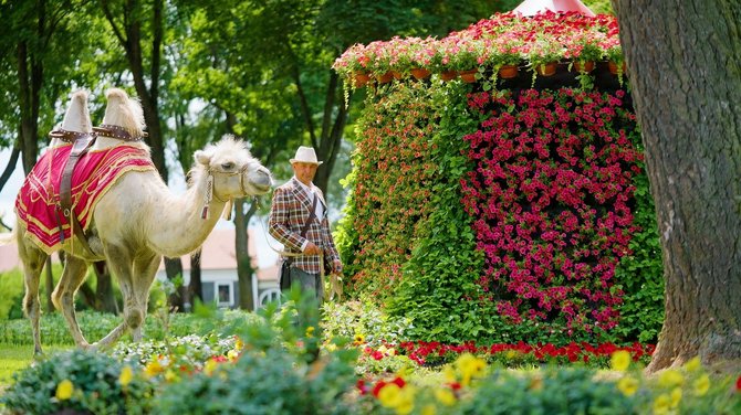 Gėlių, meno ir meilės festivalis Pakruojo dvare