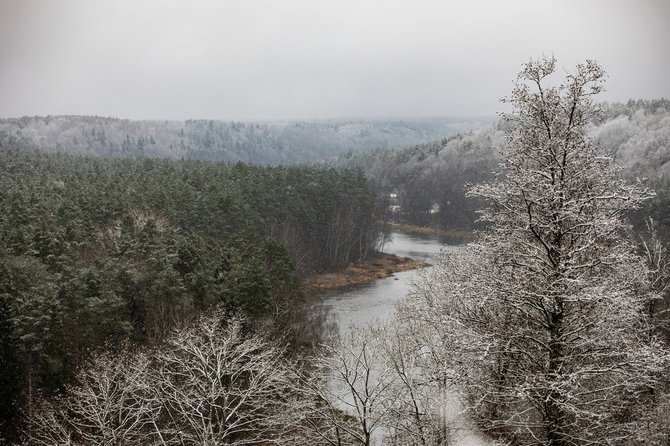 Juliaus Kalinsko / 15min nuotr./Lengva sniego paklotė apdengė Neries regioninį parką