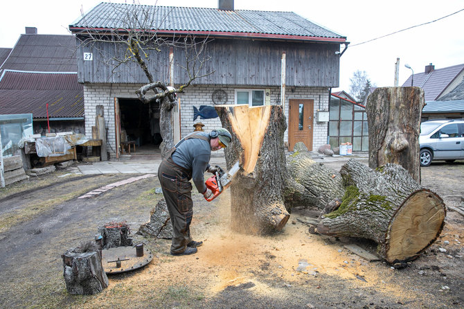 Juliaus Kalinsko / 15min nuotr./Kryždirbys Ričardas Ramanauskas