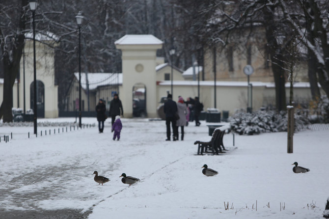 Juliaus Kalinsko/15min.lt nuotr./Pirmasis sniegas Vilniuje