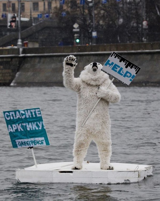 „Reuters“/„Scanpix“ nuotr./Baltąja meška persirengęs „Greenpeace“ aktyvistas Maskvos upėje
