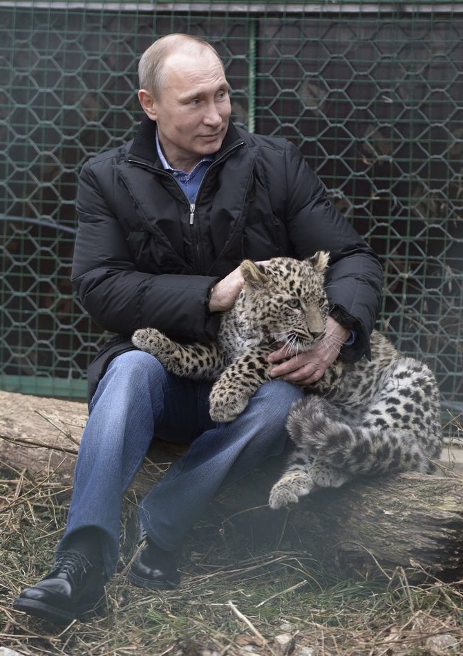 „Reuters“/„Scanpix“ nuotr./Vladimiras Putinas su leopardu
