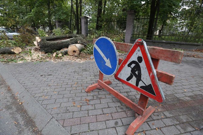 Juliaus Kalinsko/15min.lt nuotr./Vilniuje, Radvilų gatvėje nupjauti medžiai.