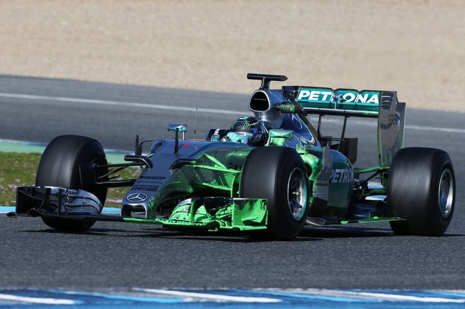 „Scanpix“/„PA Wire“/„Press Association Images“ nuotr./Nico Rosbergas 