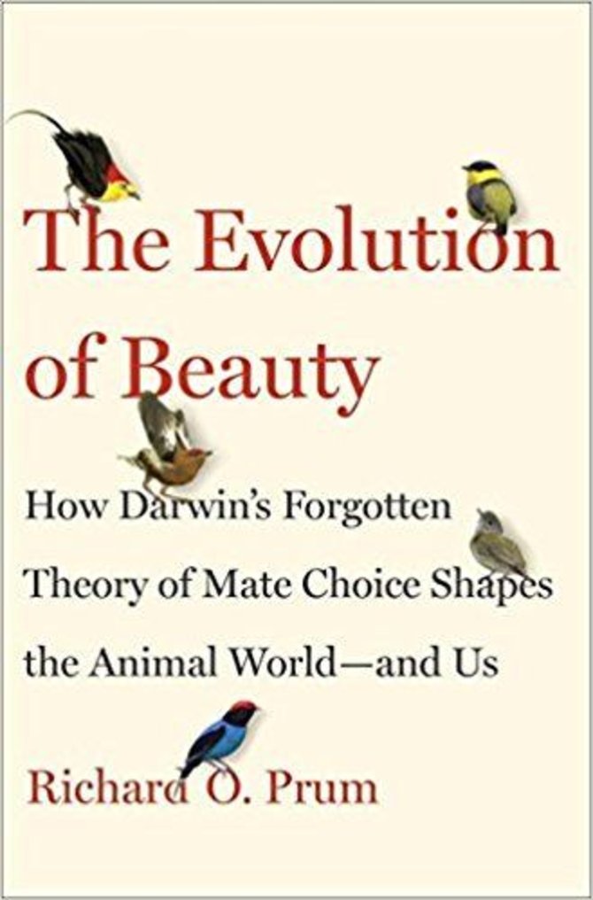 Knygos viršelis/Knyga „The Evolution of Beauty“