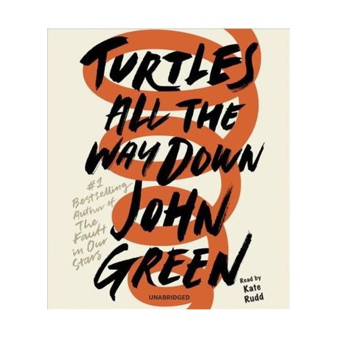 Knygos viršelis/Knyga „Turtles All the Way Down“