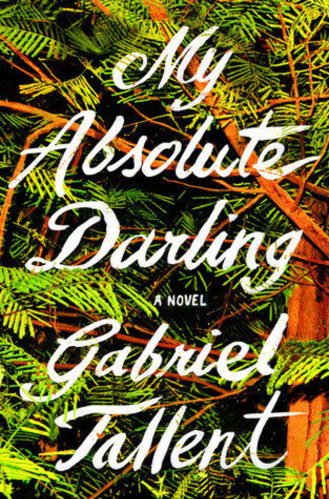Knygos viršelis/Knyga „My Absolute Darling“
