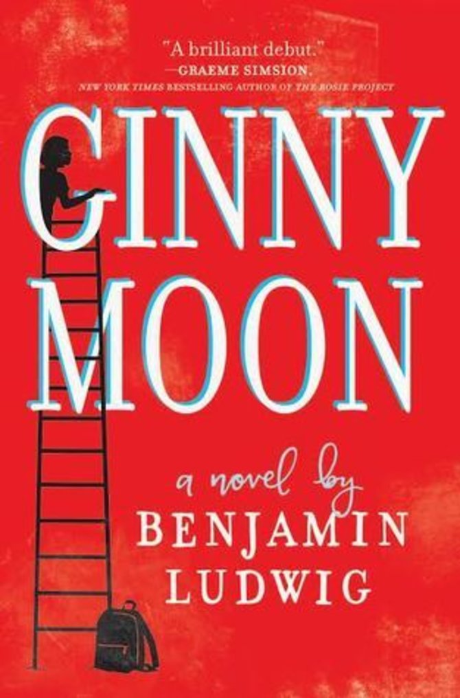 Knygos viršelis/Knyga „Ginny Moon“