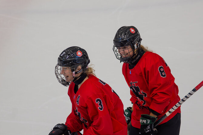 Hockey.lt nuotr./Lietuvos moterų ledo ritulio rinktinė