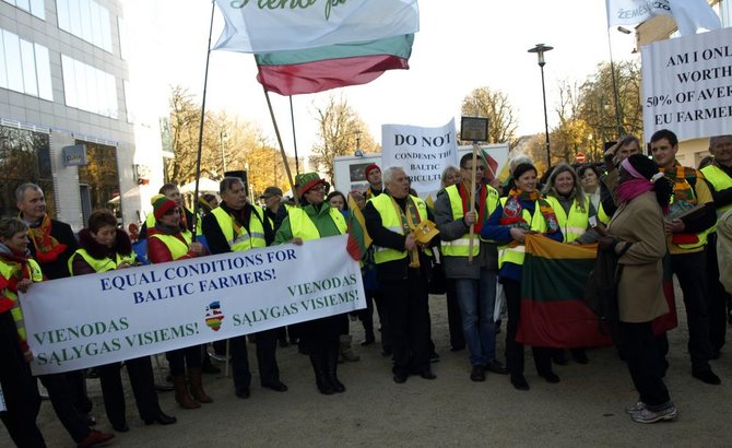 Dalios Plikūnės nuotr./Baltijos šalių ūkininkų protestas Briuselyje