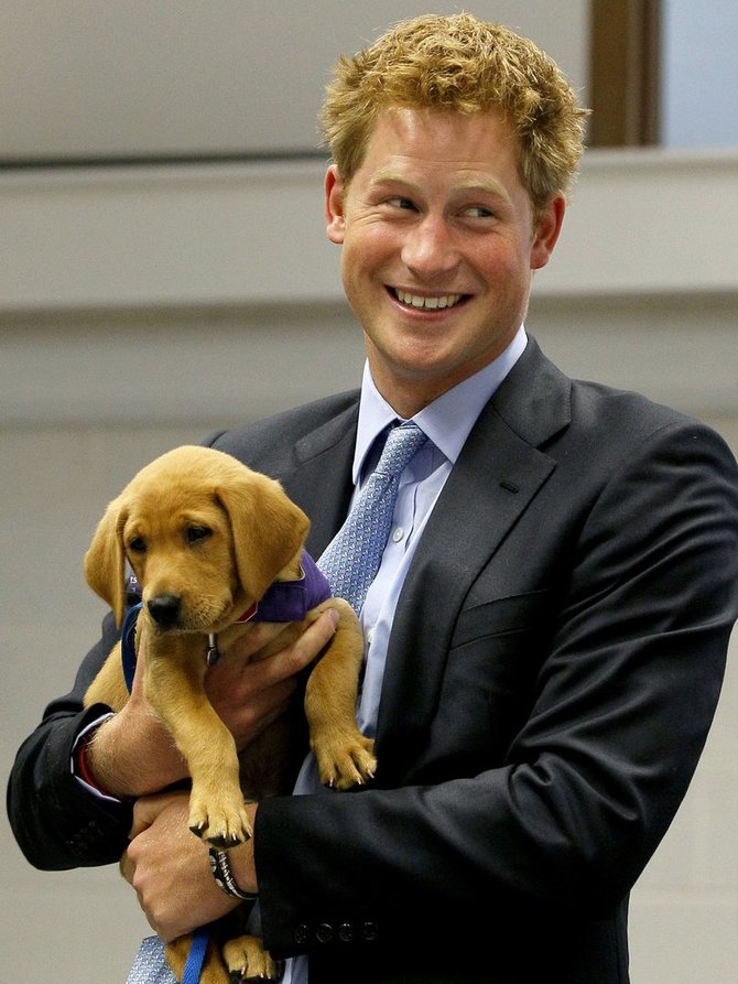 „Reuters“/„Scanpix“ nuotr./Princas Harry – tikras šunų mylėtojas
