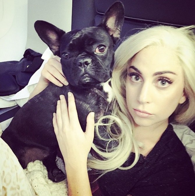 „Instagram“ nuotr./Lady Gaga su savo augintine Asia