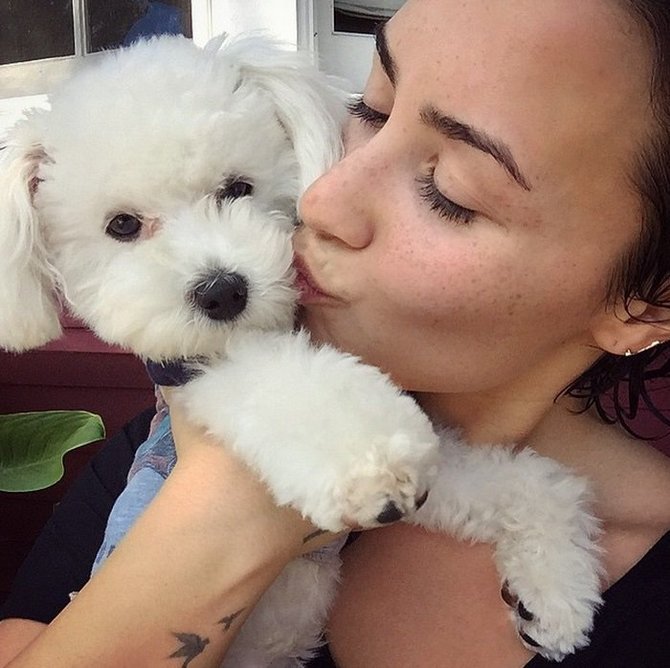 „Instagram“ nuotr./Demi Lovato ir jos šuniukas Buddy