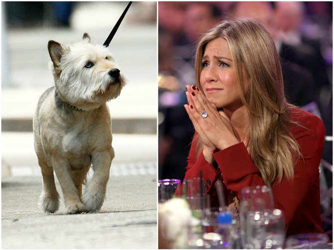 „Vida Press“ ir „Scanpix“ nuotr./Jennifer Aniston ir jos šuo Normanas