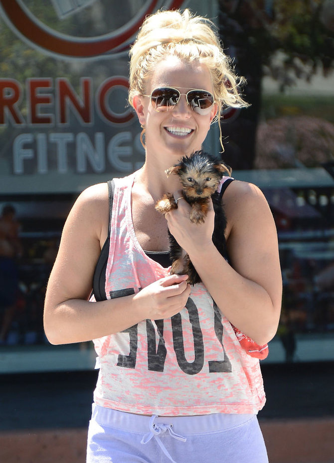 Vida Press nuotr./Britney Spears su savo šuneliu
