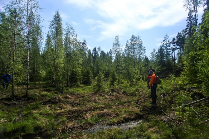 Andriaus Lauciaus nuotr./Penkta „Ladoga Trophy“ diena