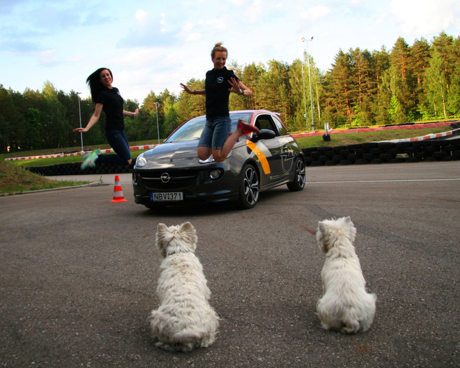 „Autopilotas Opel Racing“ komandos nuotr./„Autopilotas Opel Racing“ komanda