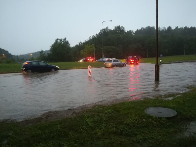 15min skaitytojo nuotr./Liūtis Vilniuje