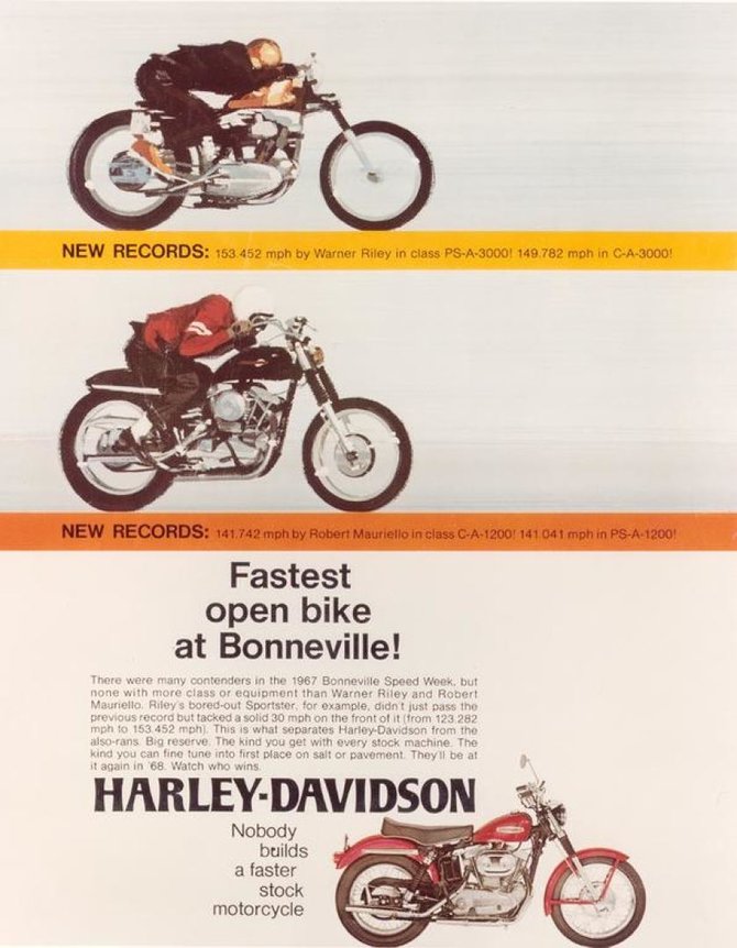 „Harley-Davidson Sportster“