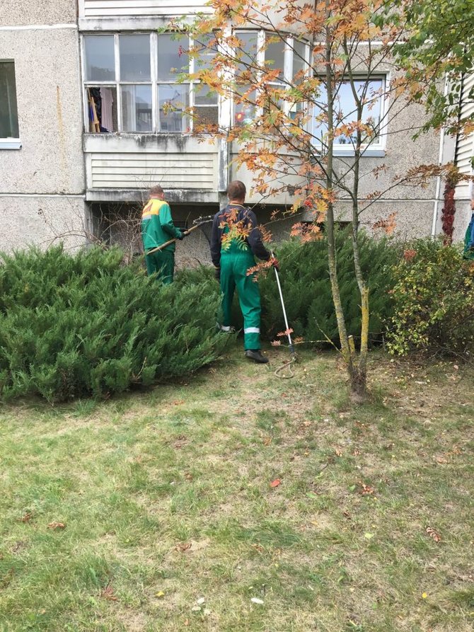 15min skaitytojos Rūtos nuotr, /„Grindos“ darbuotojai pasiima lapiuką 