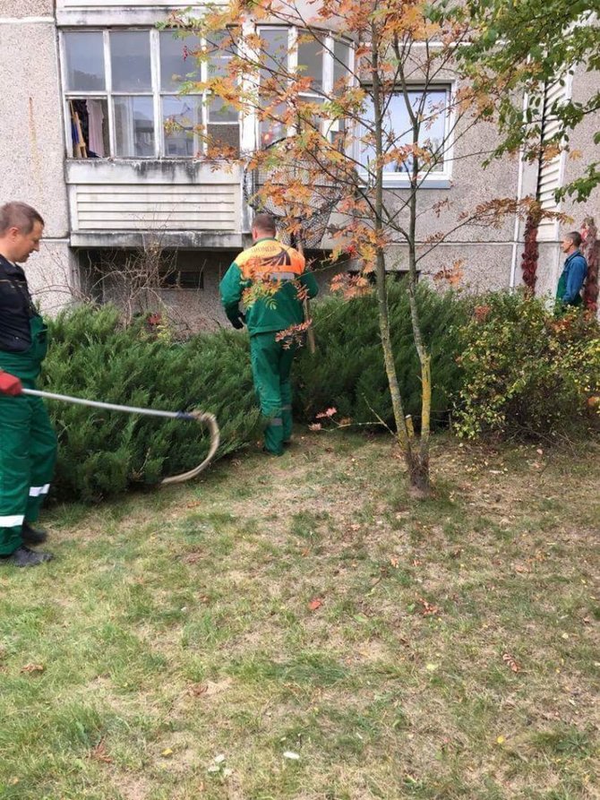 15min skaitytojos Rūtos nuotr, /„Grindos“ darbuotojai pasiima lapiuką 