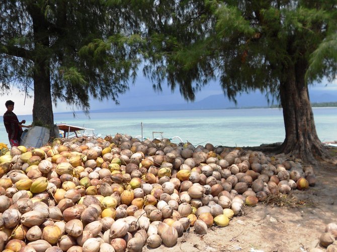 Asmeninio albumo nuotr./Anatolijaus Chudobos ir Agnės Paliokaitės atostogos Indonezijoje