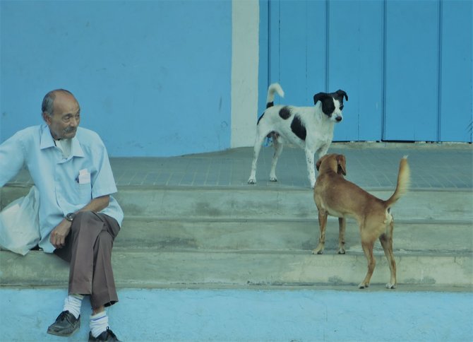 Asmeninio albumo nuotr./Laisvės Radzevičienės atostogų Kuboje akimirka