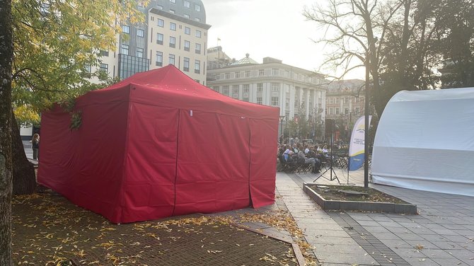 Robertos Salynės/15min. nuotr./Mokytojų protesto akcija Vilniuje