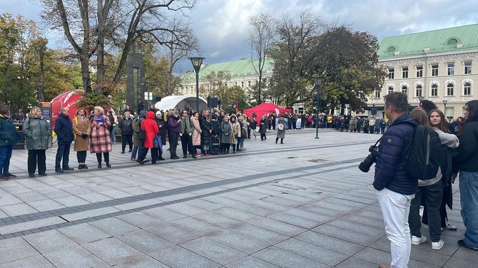 Robertos Salynės/15min nuotr./Mitingas V.Kudirkos aikštėje