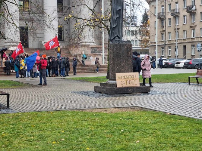 Ramūno Jakubausko/15min nuotr./Protesto mitingas prie Seimo