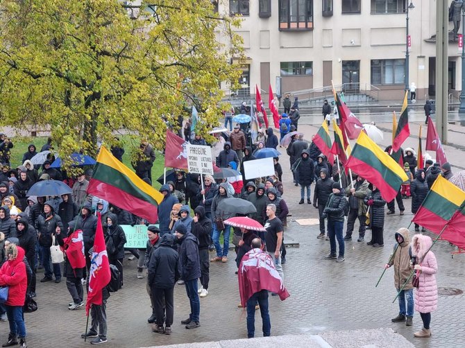 Ramūno Jakubausko/15min nuotr./Protesto mitingas prie Seimo