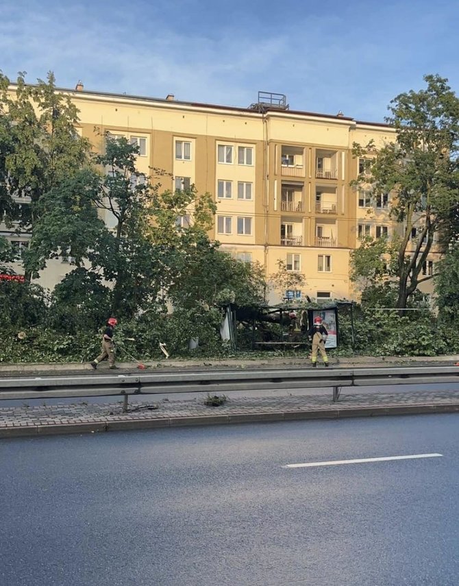 Nuotr. iš socialinių tinklų/Gdynėje nuvirtęs medis sutraiškė autobuso stotelę