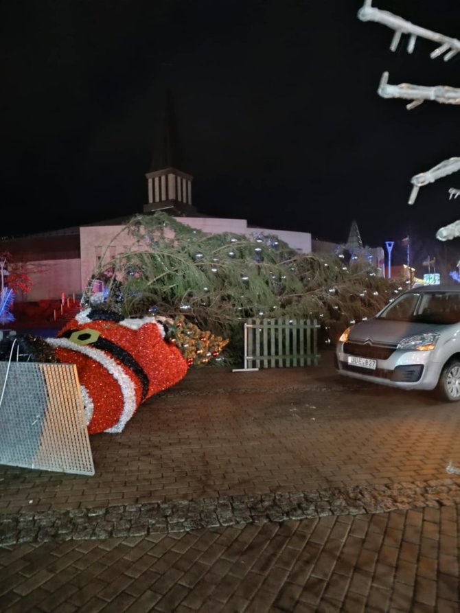 15min skaitytojo Roberto nuotr./Nuvirtusi Mažeikių eglė