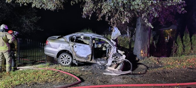 Alytaus policijos nuotr./Avarijos vietoje: prie Dargužių į medį trenkėsi ir degė „VW Passat“