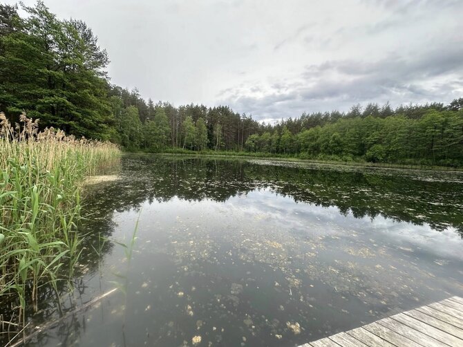„VarenaPlius“ nuotr./Dumblių niokojamas Žiežulio ežeras Varėnoje