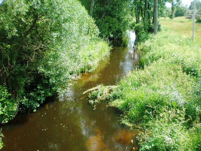 Nuotr. iš Wikipedia.org/Grūdos upė prie Darželių kaimo