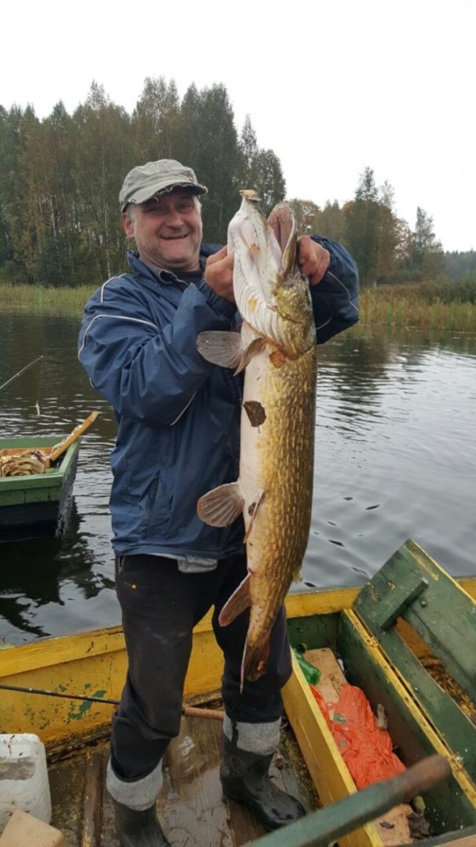 A.Klišonio nuotr./Babrungo upėje žvejys vardu Igoris pagavo didžiausią 2016 m. laimikį – lydeką, kuri svėrė virš 8 kg