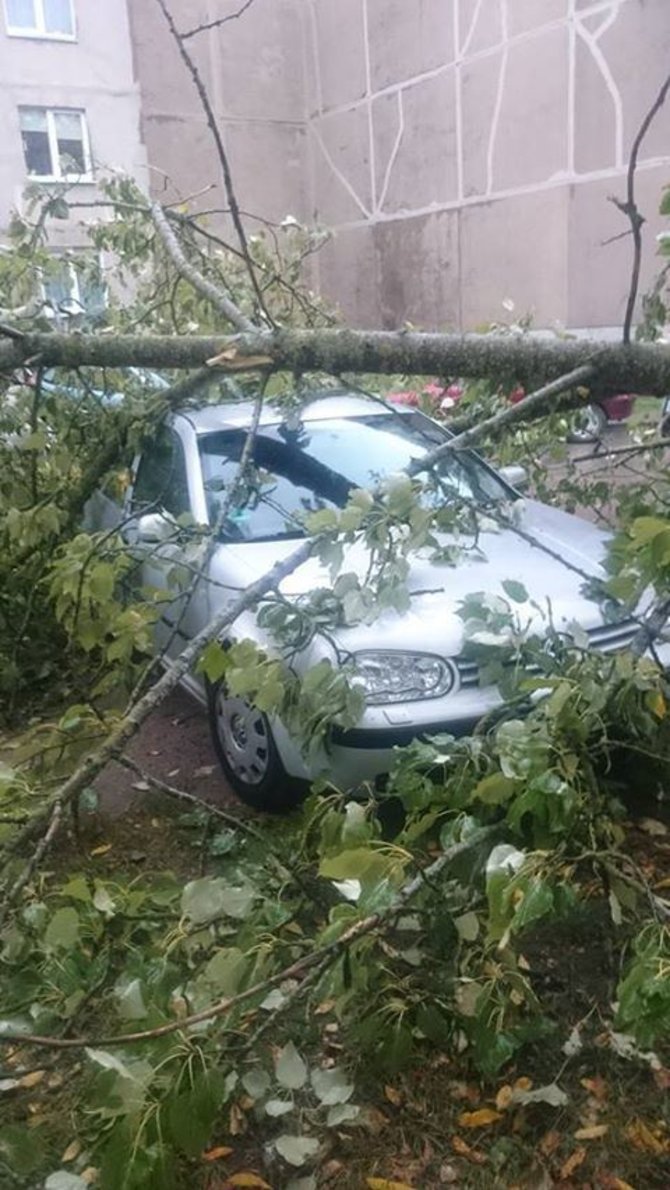 15min skaitytojo Dariaus nuotr./Audros padariniai Mažeikiuose