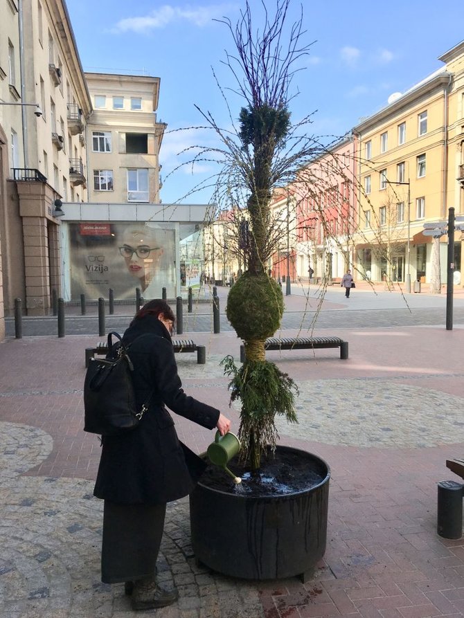 Šiaulių turizmo informacijos centro nuotr./Verba Šiaulių bulvare