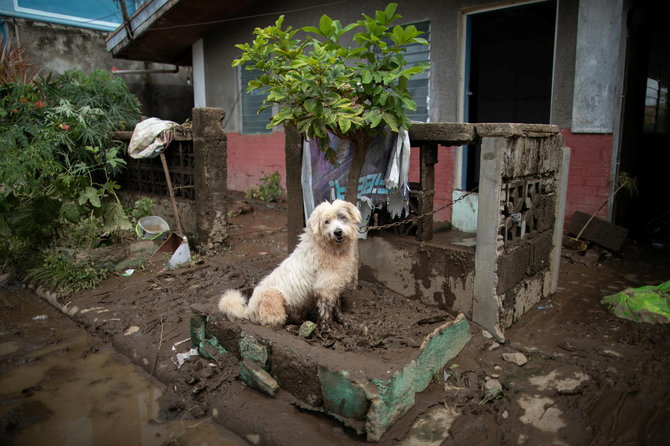 „Reuters“/„Scanpix“ nuotr./Filipinus nuniokojo galingas taifūnas